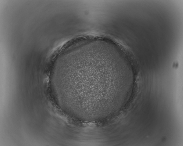 X0000112421302200908281829