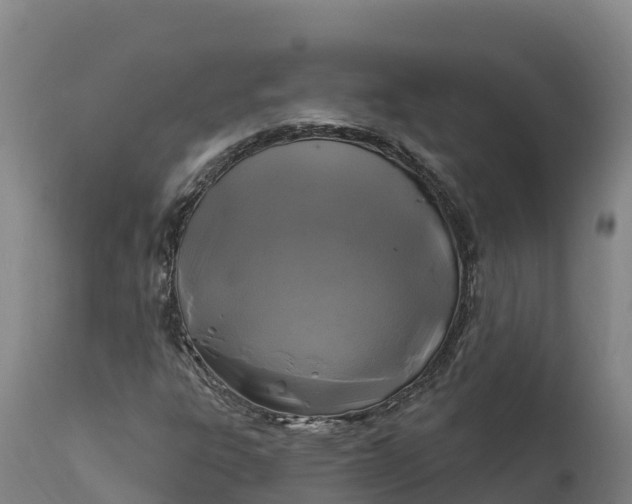 X0000112421303200908281829