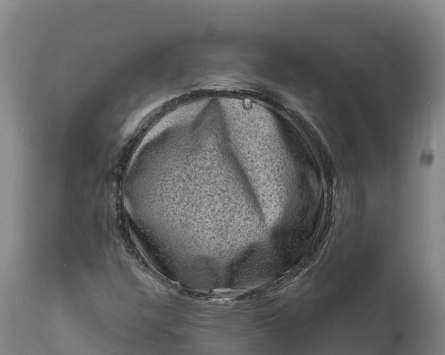 X0000112421304200908281829