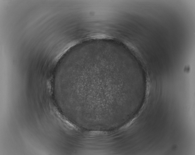 X0000112421305200908281829