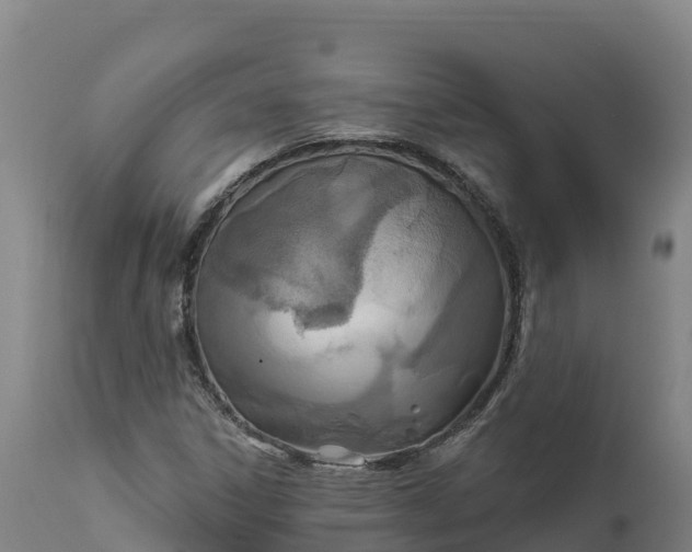 X0000112421306200908281829