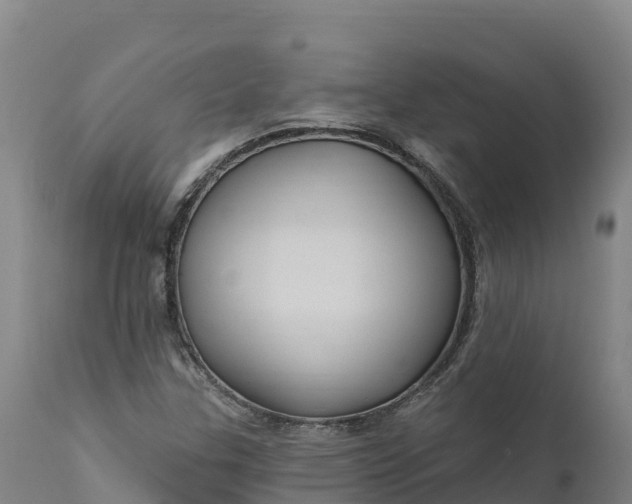 X0000112421307200908281829