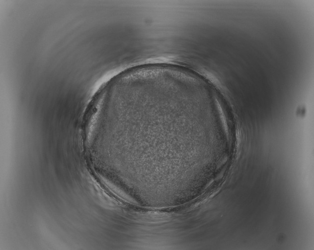 X0000112421308200908281829