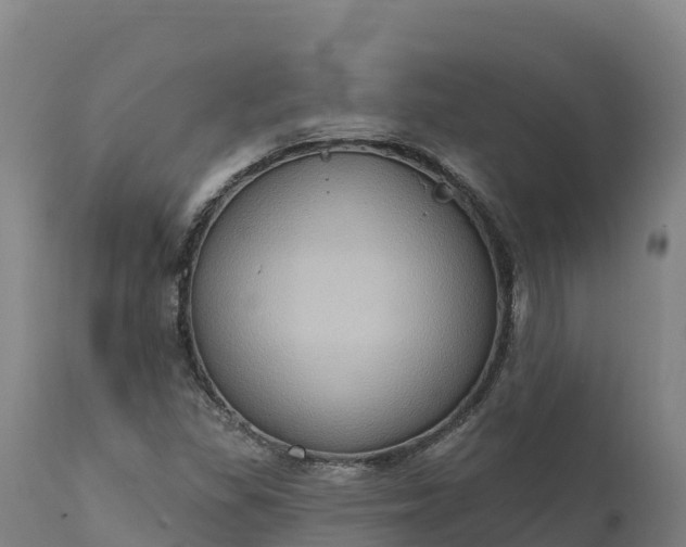 X0000112421309200908281829