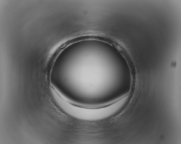 X0000112421310200908281829