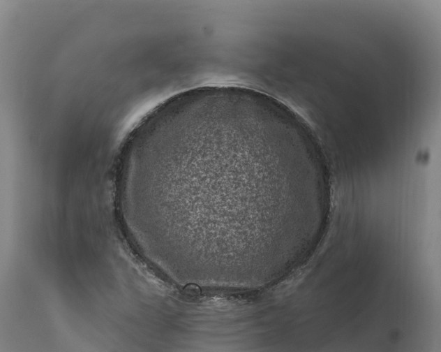 X0000112421311200908281829