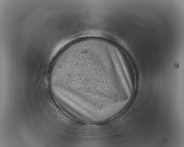 X0000112421312200908281829