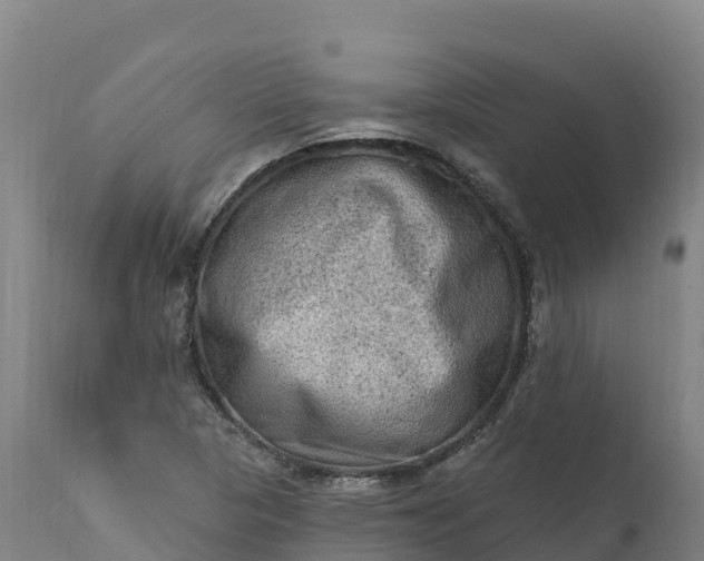 X0000112421313200908281829