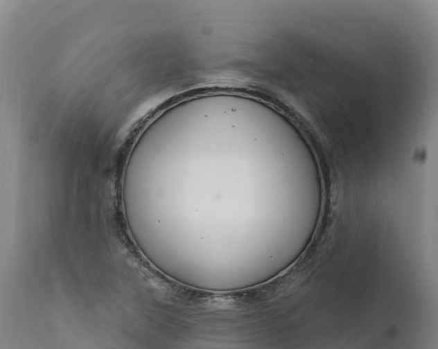 X0000112421315200908281829