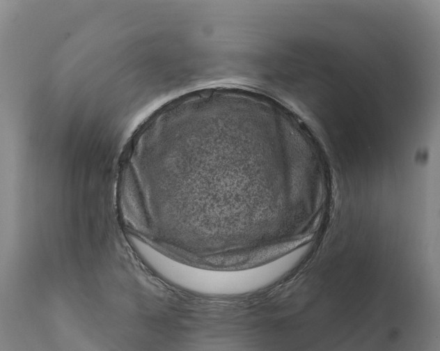 X0000112421316200908281829