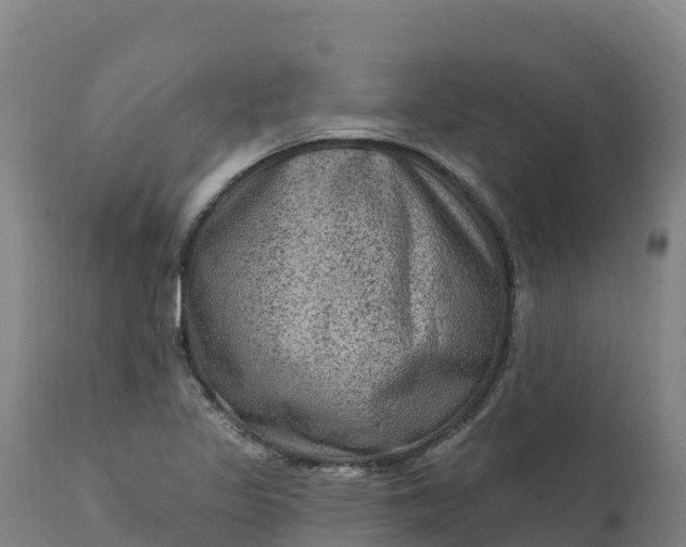 X0000112421317200908281829