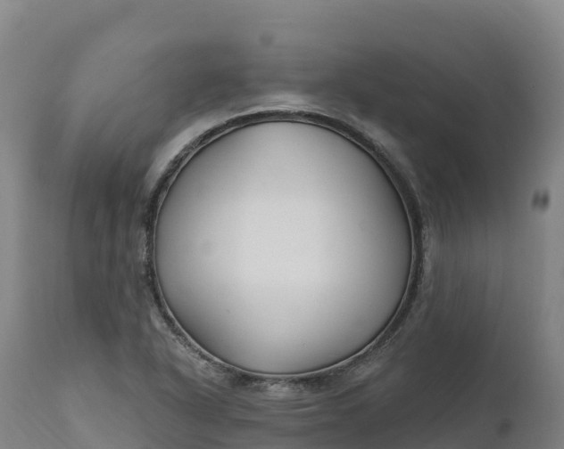 X0000112421318200908281829