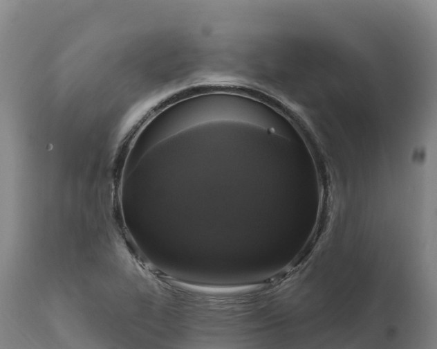 X0000112421319200908281829