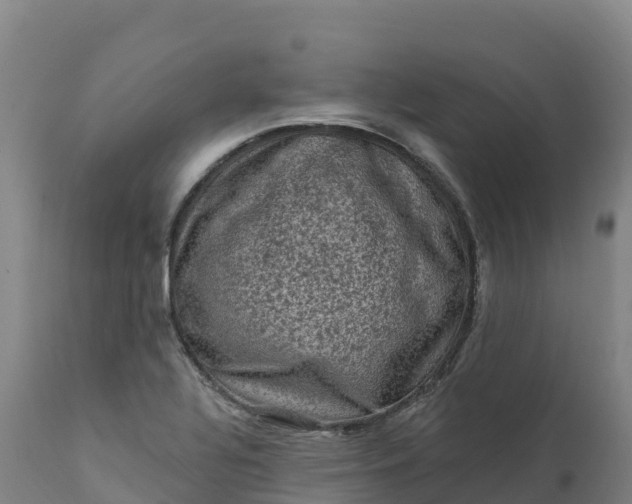 X0000112421320200908281829