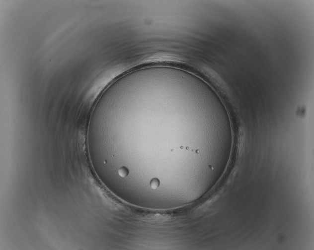 X0000112421321200908281829