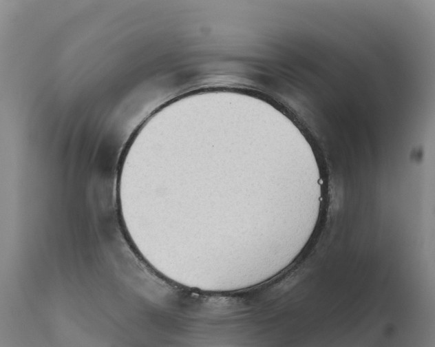 X0000112421322200908281829