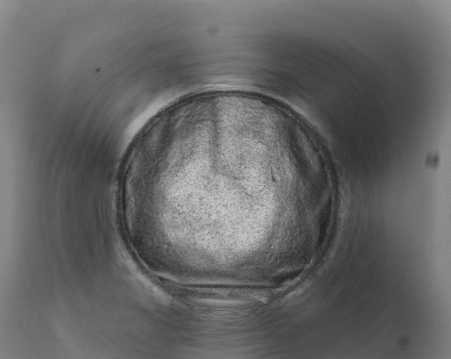 X0000112421325200908281829