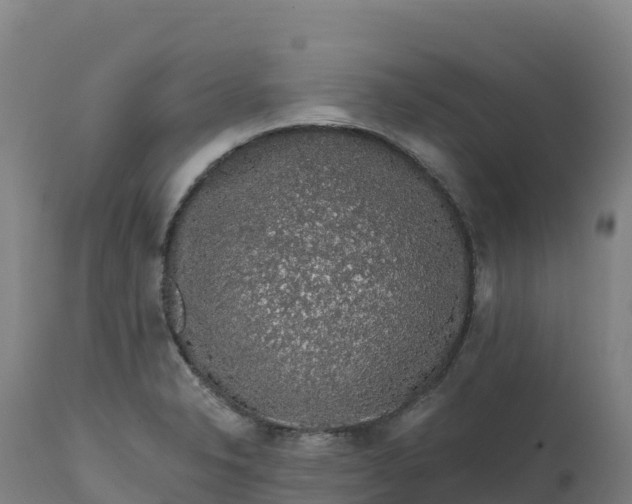 X0000112421326200908281829