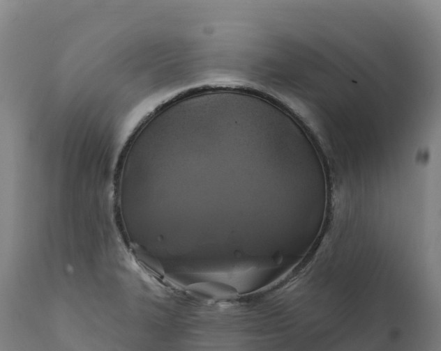 X0000112421327200908281829