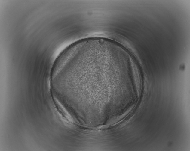 X0000112421328200908281829