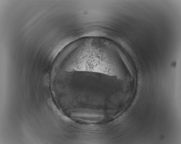 X0000112421329200908281829