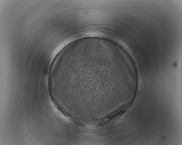 X0000112421330200908281829