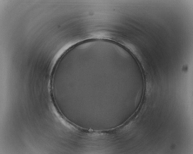 X0000112421331200908281829