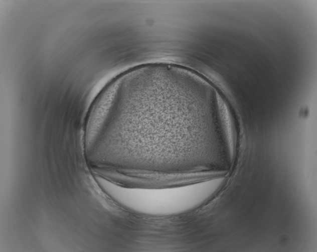 X0000112421332200908281829