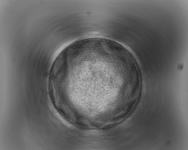 X0000112421333200908281829