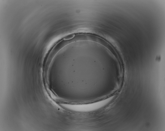 X0000112421334200908281829