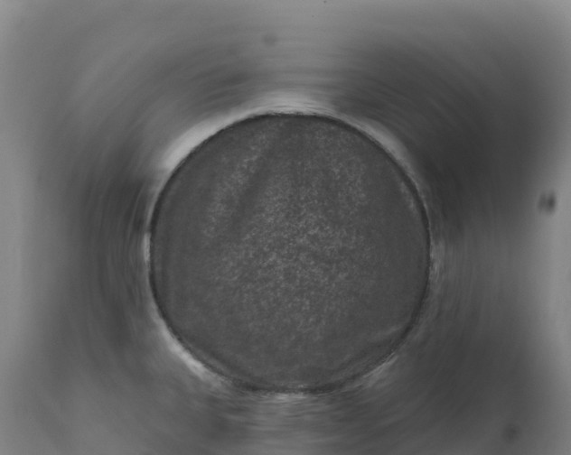 X0000112421335200908281829