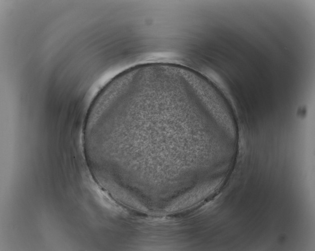 X0000112421336200908281829