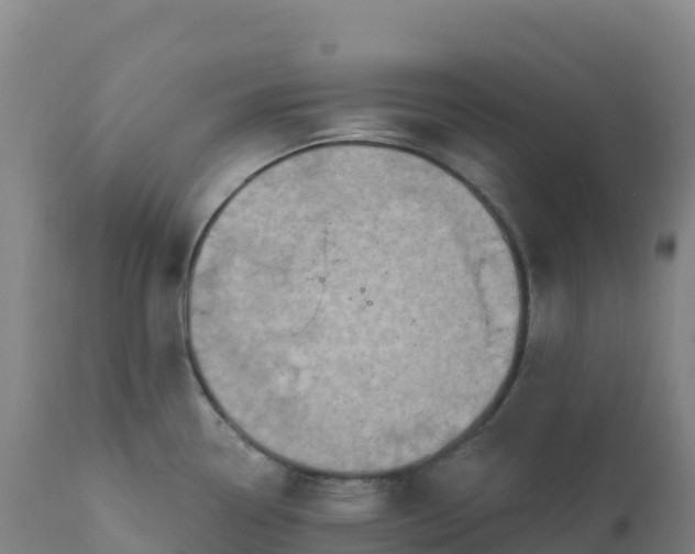 X0000112421338200908281829