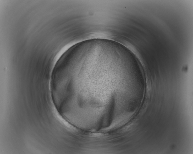 X0000112421339200908281829