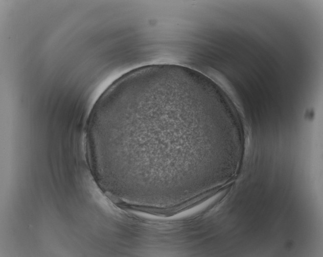 X0000112421340200908281829