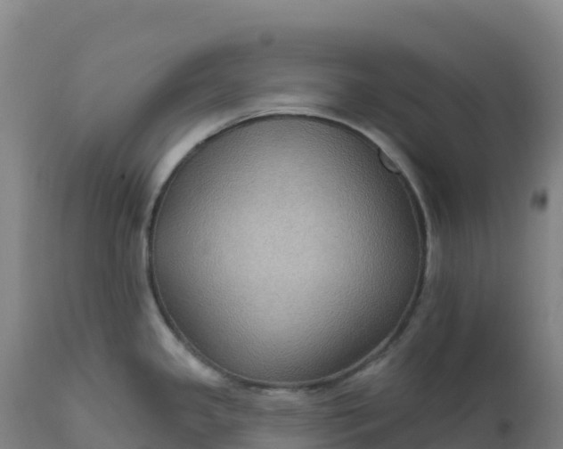 X0000112421341200908281829