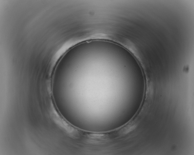 X0000112421342200908281829