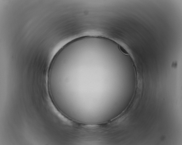 X0000112421343200908281829