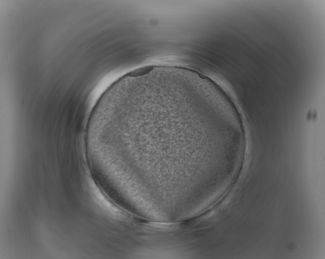 X0000112421344200908281829