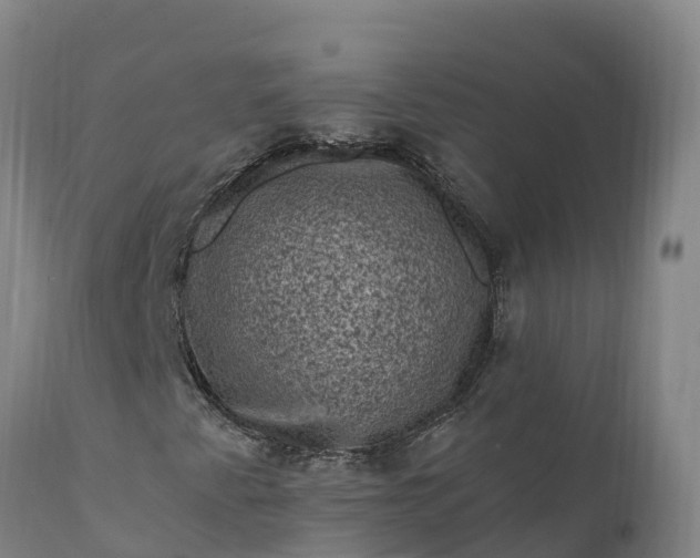 X0000112421345200908281829