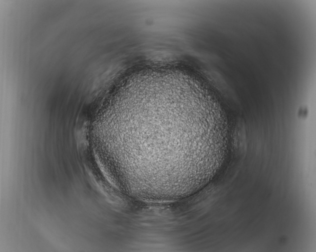 X0000112421346200908281829