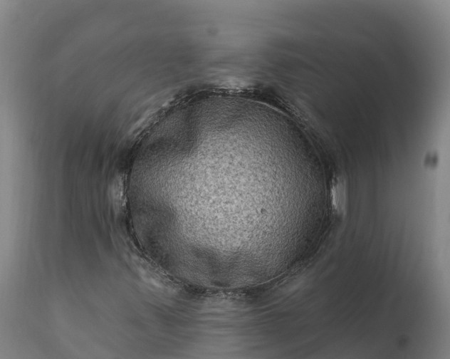 X0000112421347200908281829