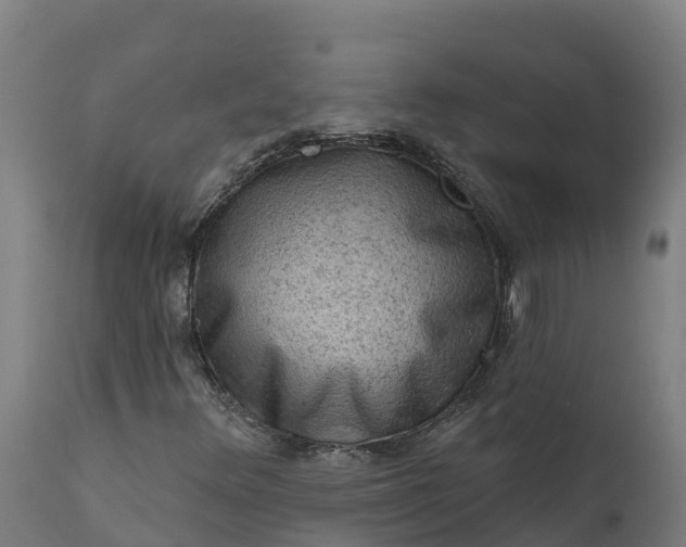 X0000112421348200908281828