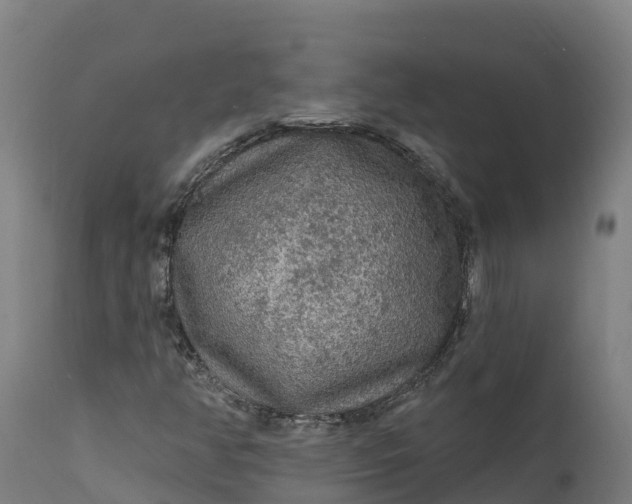 X0000112421350200908281828