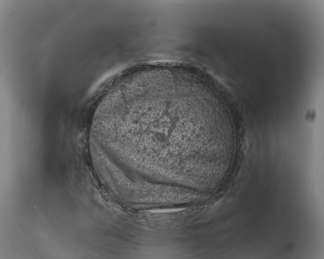 X0000112421351200908281828