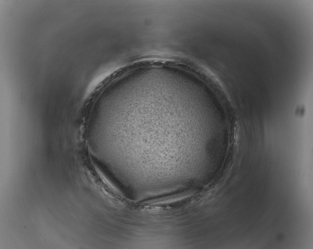 X0000112421352200908281828