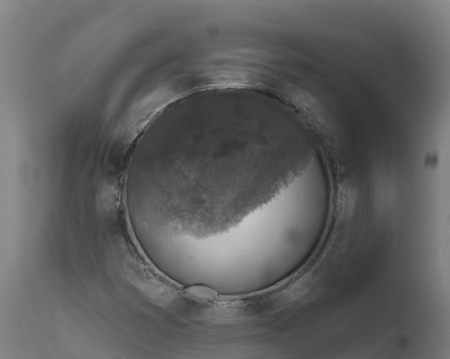 X0000112421353200908281828