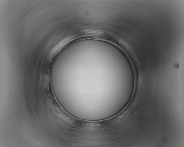 X0000112421354200908281828