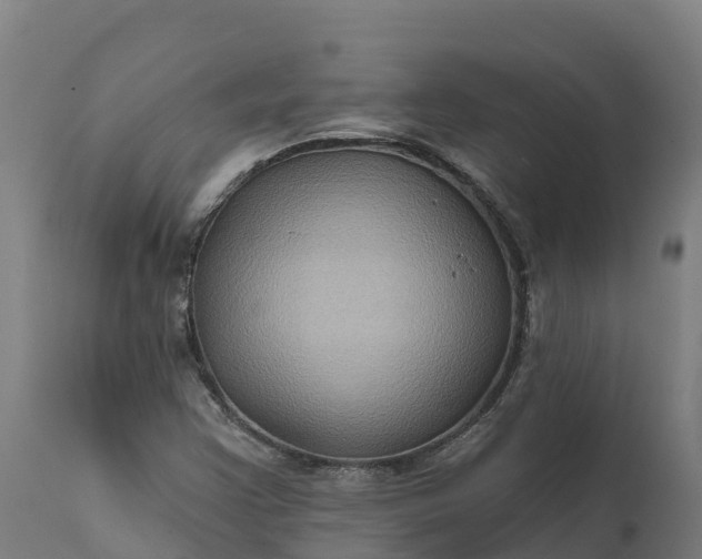 X0000112421355200908281828