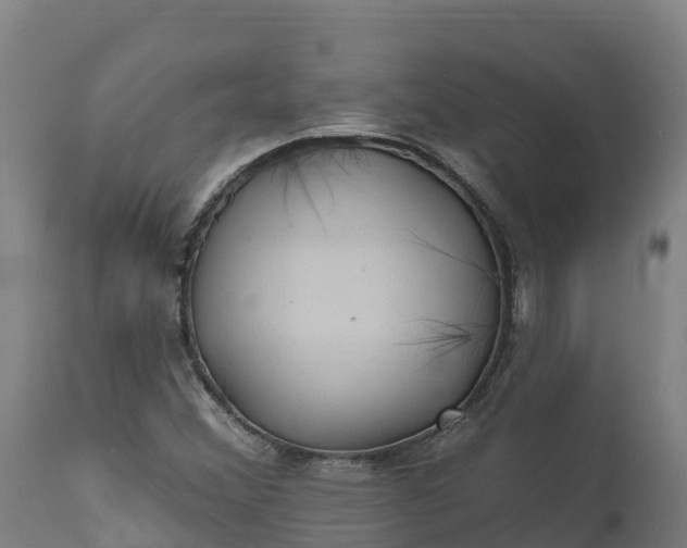 X0000112421356200908281828